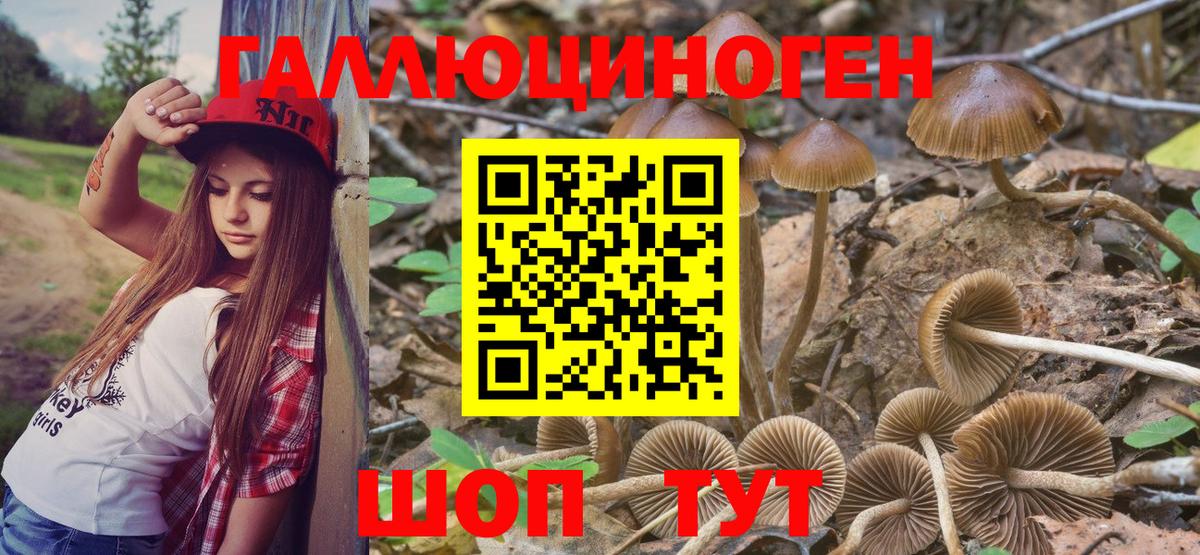 Псилоцибиновые грибы мицелий  Вход с VPN  магазин продажи наркотиков  Реж 